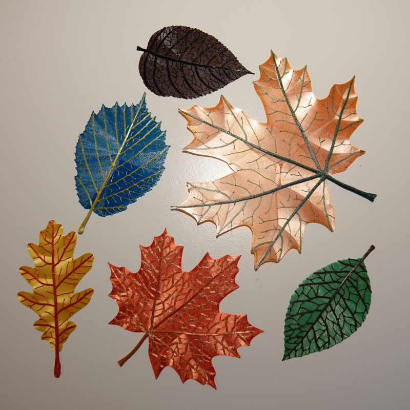 Organic leaves set