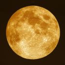 reprint-2022.jpg - 2022:12:14 23:37:45