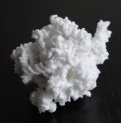 rabbit-80s-ribosome.jpg - 2021:03:23 12:21:46