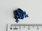 froglet-measured.jpg - 2021:04:25 14:29:57