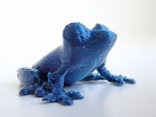 froglet-zoom.jpg - 2021:04:25 14:40:55