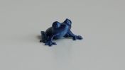 froglet.jpg - 2021:04:25 14:28:09