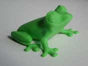 tree-frog.jpg - 2021:09:07 11:30:53