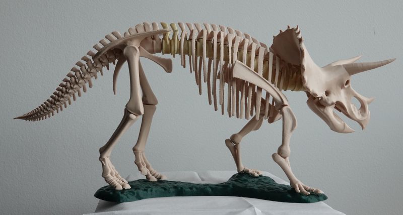 Viewing 3d-printing→miniatures→triceratops→triceratops-right