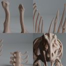 <i>Tyrannosaurus rex</i> skeleton
