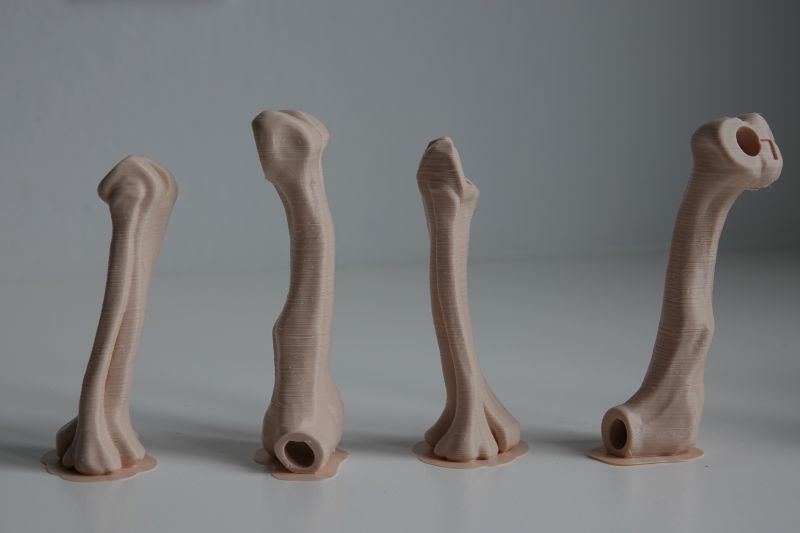Viewing 3d-printing→miniatures→tyrannosaurus-rex-skeleton→legs