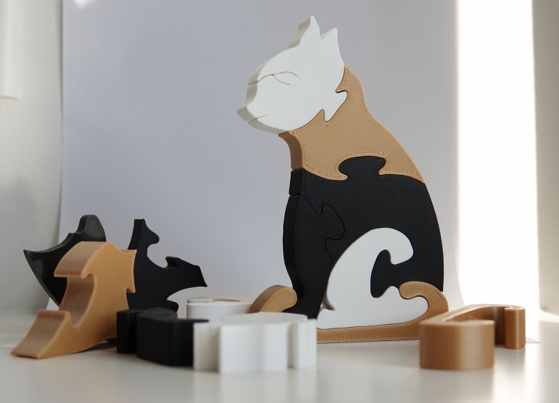 Puzzle Cat