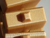 spine-detail.jpg - 2020:10:16 08:32:40