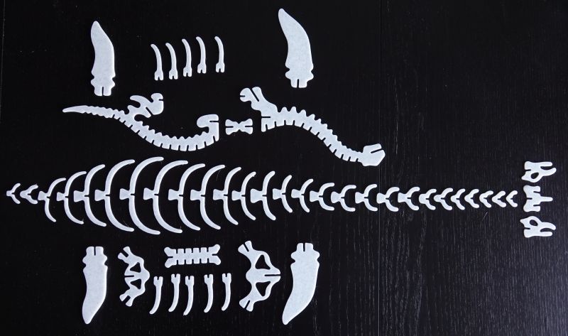 Viewing 3d-printing→toys→plesiosaur→laid-out