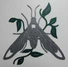 moth.jpg - 2021:10:02 11:59:31