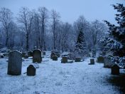 02.jpg - 2007:01:24 08:36:05