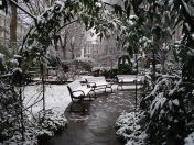 03.jpg - 2007:01:24 08:47:25