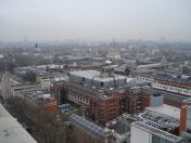 29.jpg - 2007:01:30 10:37:01