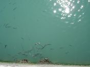 077.jpg - 2007:09:05 11:57:30