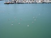 079.jpg - 2007:09:05 11:57:48