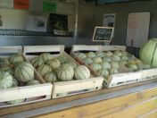 101.jpg - 2007:09:05 15:25:55