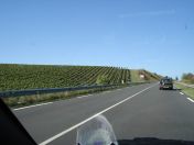 104.jpg - 2007:09:05 15:32:06