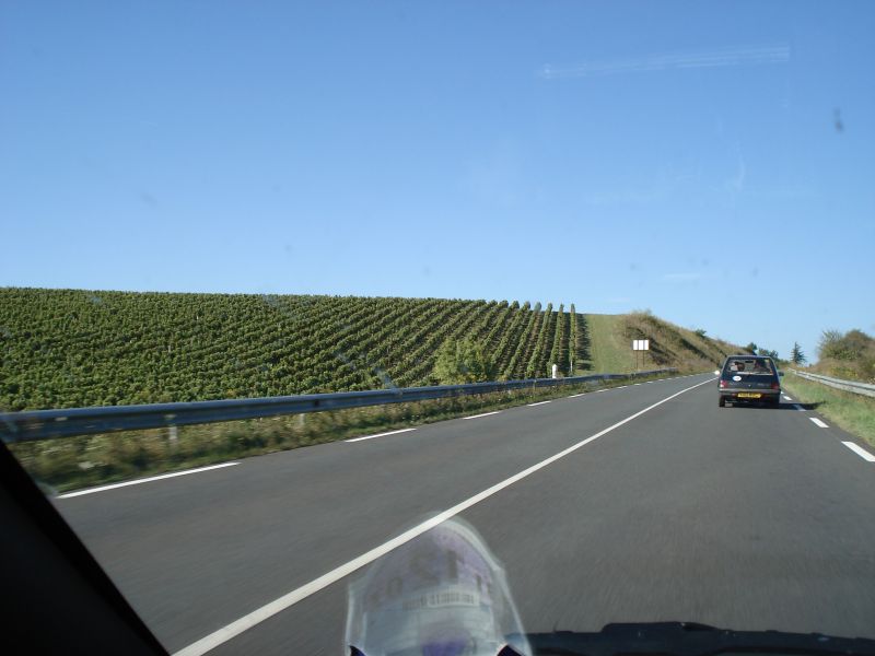 Viewing photos→2007→2007-08-31→104