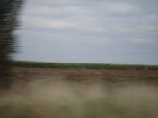 140.jpg - 2007:09:07 17:52:43