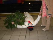 37.jpg - 2007:12:16 23:43:03