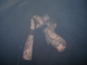 32.jpg - 2008:03:24 21:40:47