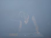 36.jpg - 2008:03:24 21:54:49