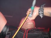 61.jpg - 2008:03:24 23:06:01