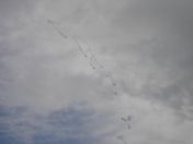 04.jpg - 2008:07:05 11:56:07