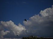 14.jpg - 2008:07:05 15:08:28