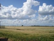 18.jpg - 2008:07:05 15:31:31