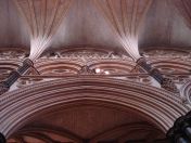 37.jpg - 2008:07:05 13:25:13