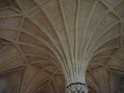 42.jpg - 2008:07:05 13:34:08