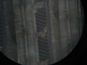 43.jpg - 2008:07:05 13:40:52