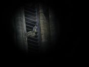 44.jpg - 2008:07:05 13:41:17