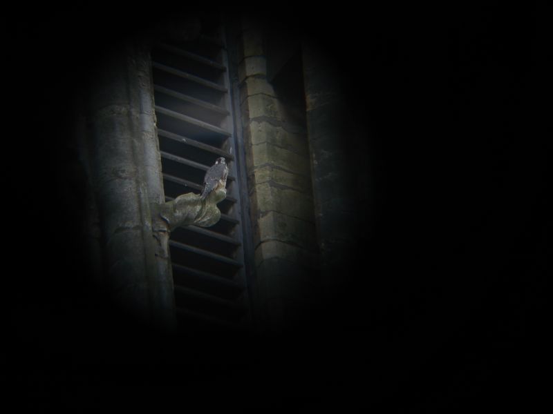 Viewing photos→2008→2008-07-05-2→44