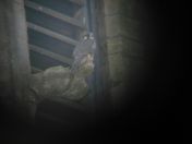 45.jpg - 2008:07:05 13:44:46