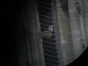 46.jpg - 2008:07:05 13:51:19