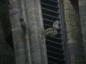 47.jpg - 2008:07:05 13:51:39