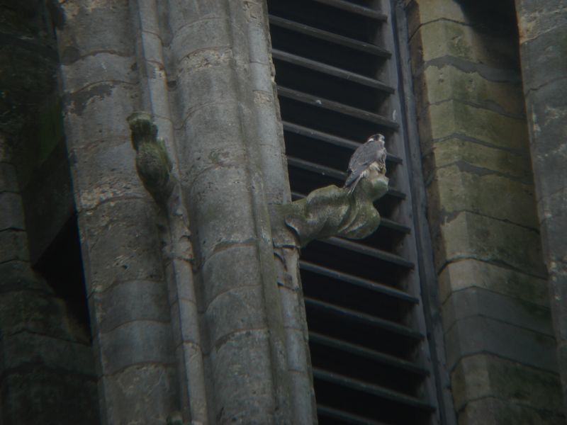 Viewing photos→2008→2008-07-05-2→47