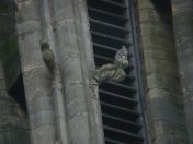 48.jpg - 2008:07:05 13:51:44