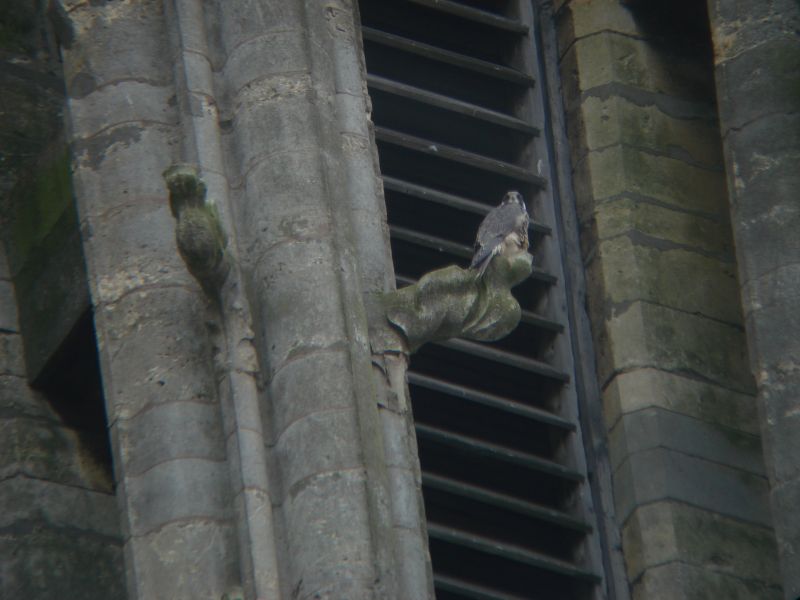 Viewing photos→2008→2008-07-05-2→48