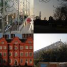 2008-12-29<br/>
<b>At work at Kew</b>
