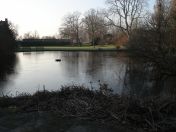 04.jpg - 2008:12:29 13:20:27