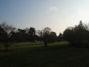 13.jpg - 2008:12:29 13:23:57