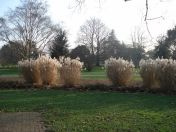 17.jpg - 2008:12:29 13:32:38