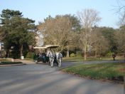 20.jpg - 2008:12:29 13:34:47