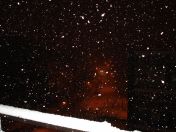 2.jpg - 2009:02:01 23:44:55