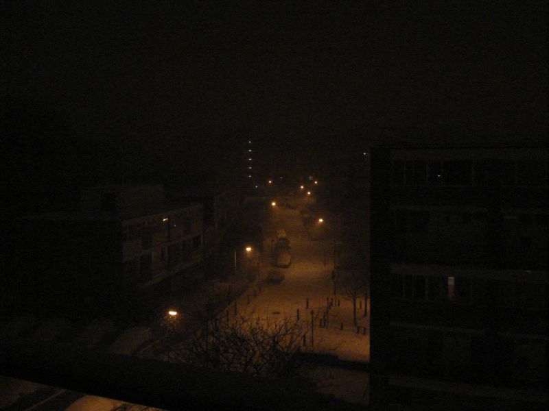 Viewing photos→2009→2009-02-01→5