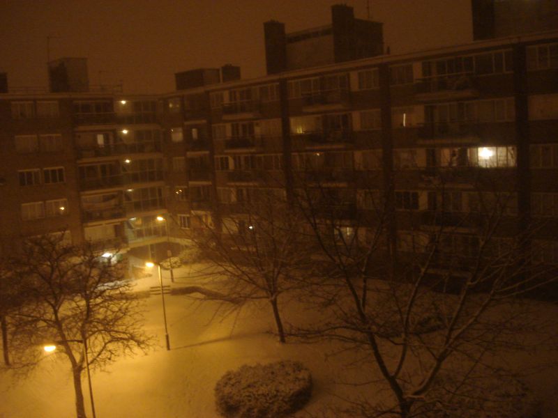 Viewing photos→2009→2009-02-01→7