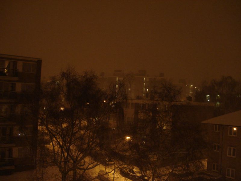 Viewing photos→2009→2009-02-01→9